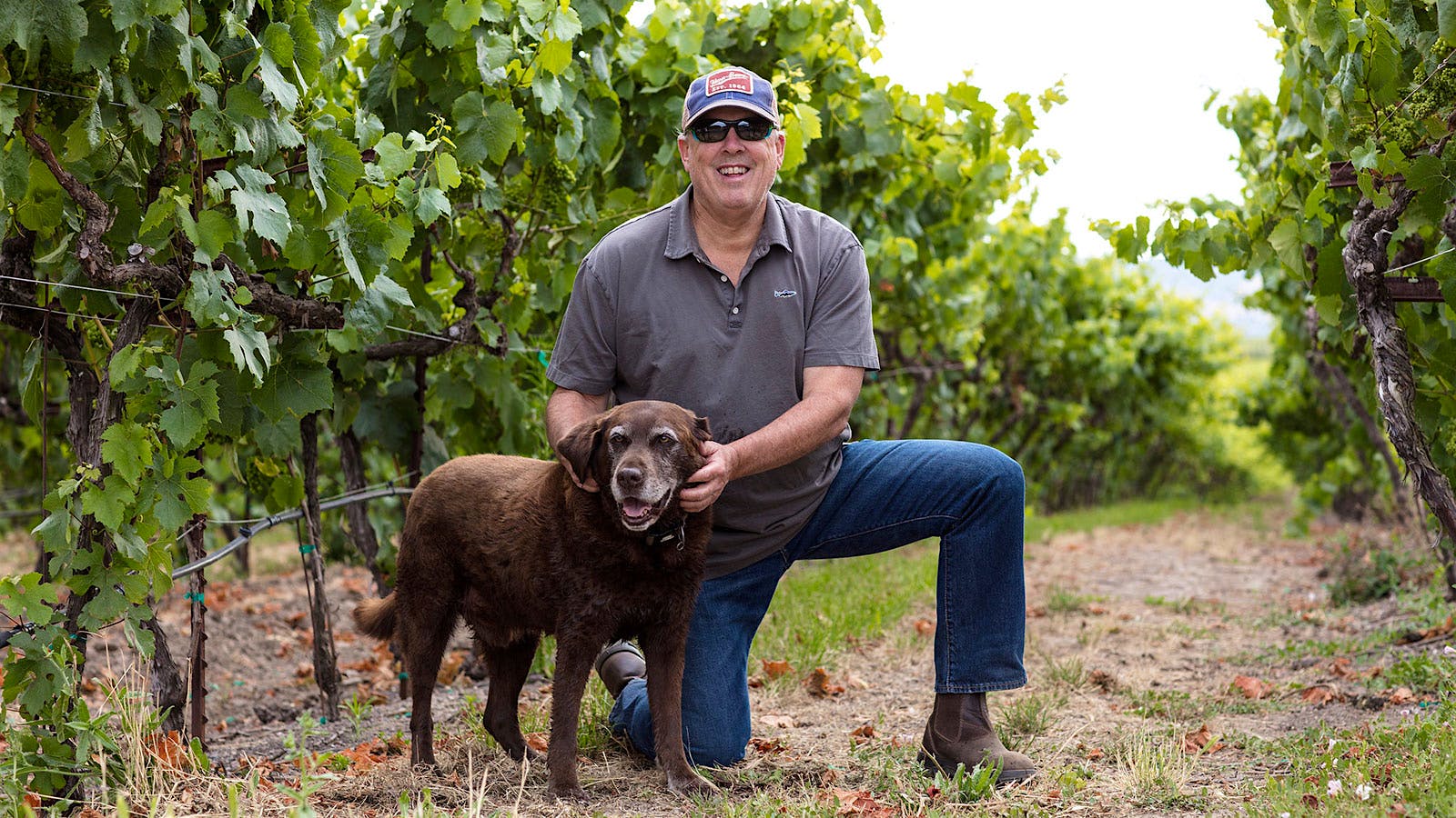 Winemaker Todd Graff with Bristol the Labrador Retriever in a vineyard