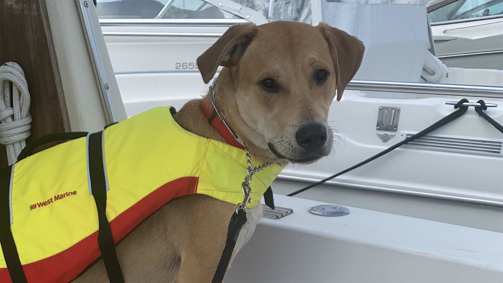 Sonny Bono on a boat in a yellow life vest