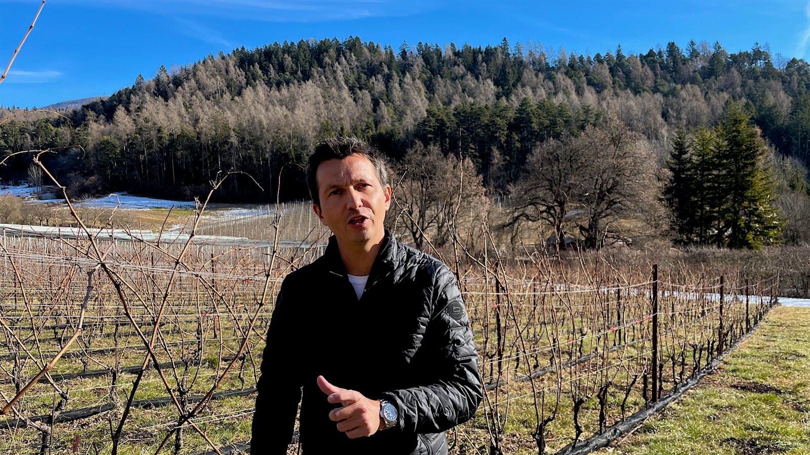 Enologist Nicola Biasi in his vineyard, planted to Johanniter, in the Dolomites