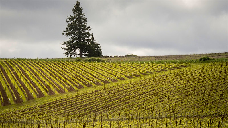 8 Wonderful West Coast Values Priced $35 or Less