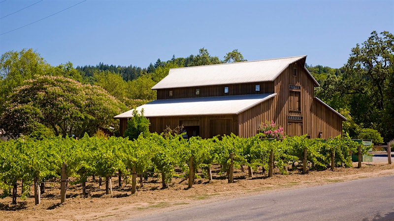 8 Outstanding West Coast Rhônes at 90+ Points