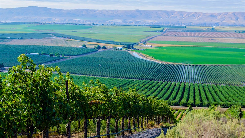 8 Super Washington Wines Up to 93 Points